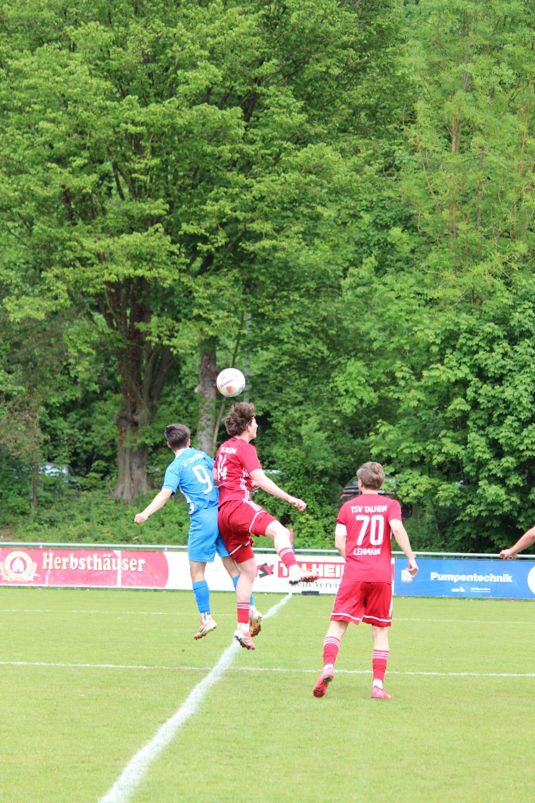 TSV Talheim Fußball