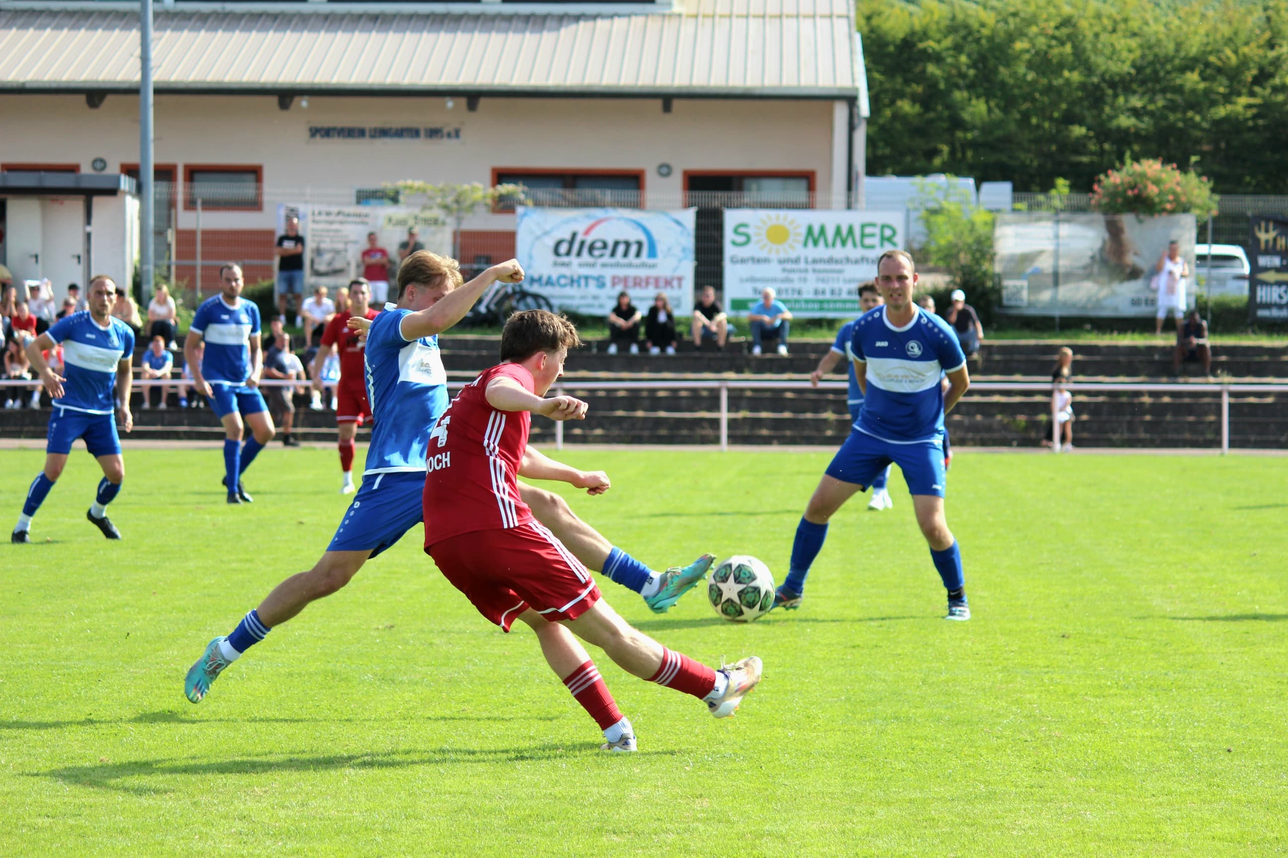 TSV Talheim Fußball
